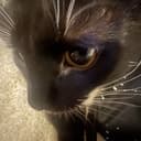 Hunter