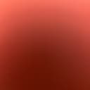 Elvish Kumar