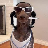 Sog MC