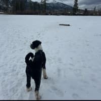 macie