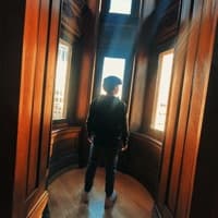 Leviz