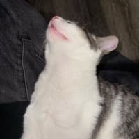 Spudxzyy