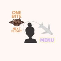 onebitenextflight