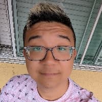 ricepaddies
