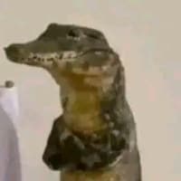 Alexander