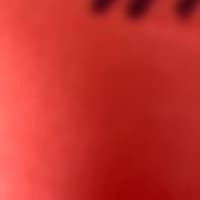 Damon M