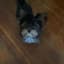 lailana67