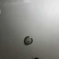 rachell07
