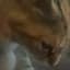 Sam_E