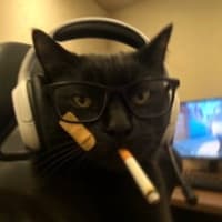 Jay