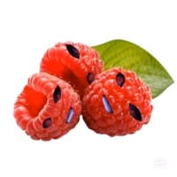 3lvies