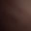 lilly_shultz