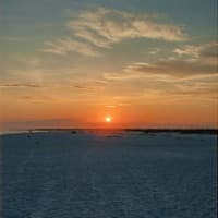 summerbetz