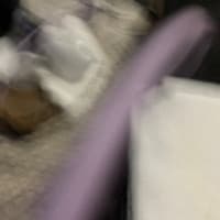 milkmoose